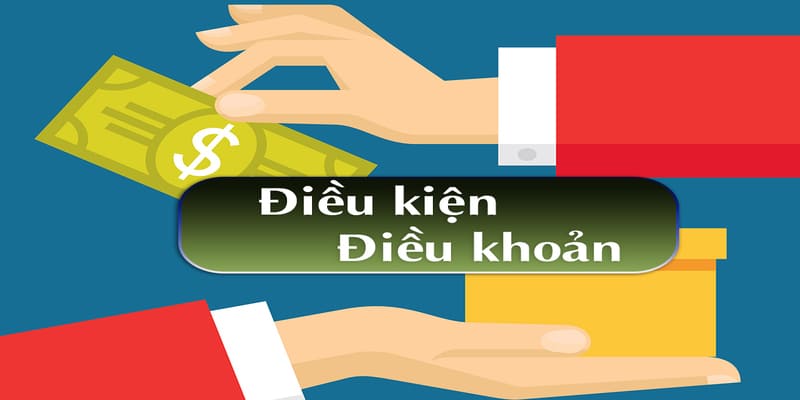 điều kiện điều khoản 
